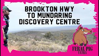 Feral Pig Ultra Info  Brookton Hwy to Mundaring Discovery Centre [upl. by Bibbye595]