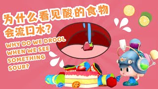 Why We Drool When We See Something Sour 为什么看见酸的东西会流口水｜Health｜百科故事｜儿童科普｜Children Learning Cartoon｜SUB [upl. by Viddah]