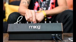 Moog DFAM  Percussion Synth Techniques with Baseck [upl. by Cozmo]