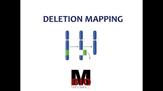 DELETION MAPPING [upl. by Suhpesoj]