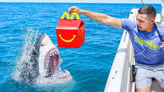 FISHING WITH FAST FOOD [upl. by Khosrow]