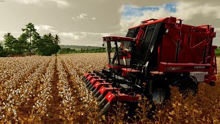 INTERIOR OF MS BR map SERVIDOR DEDICADO  Farming Simulator 22 [upl. by Wenona]