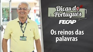 Os reinos das palavras  As 10 classes de palavras  Dicas de Português FECAP [upl. by Nekcerb298]