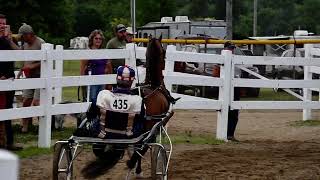 Class 109  Hackney Roadster Pony  Interstate Horse Show in Randolph on July 2 2022 [upl. by Asenev410]