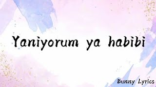 Yaniyorum Ya Habibi TikTok Song lyrics [upl. by Katlaps]