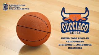 Cucciago Bulls  Inizio Play In Divisione 1 [upl. by Boyce]