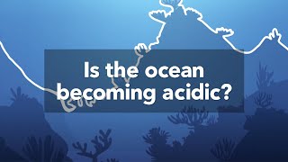 Ocean acidification [upl. by Lindsley799]