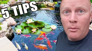 5 Tips for Water Lilies How to Place Them in a Pond [upl. by Lindie498]