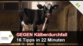 16 Tipps GEGEN Kälberdurchfall und FÜR gesunde Kälber Teil 4 [upl. by Aihsema]