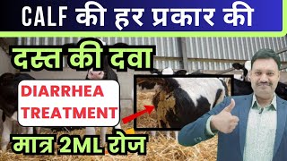 Calf की हर प्रकार की दस्त की दवा 👉🏻 Calf Diarrhea Treatment मात्र 2ml रोज [upl. by Ruenhcs]