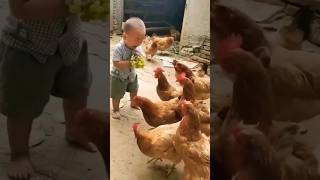 boy crying 😭 bcz hens snatchs grapes 🍇cute islamicshorts views viralreel [upl. by Jaworski]