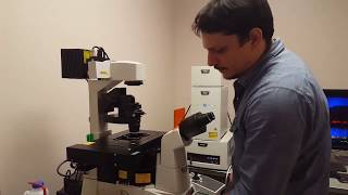 Confocal Microscopy Tutorial Part 1 Getting Started  Basic Operation [upl. by Nevanod571]