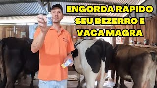 Como Fazer Engordar Vaca Magra e Bezerro MagroRemédio para Engorda de BovinosModificar Orgânico [upl. by Gwennie]