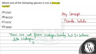 Which one of the following species is not a pseudo halide [upl. by Drahser]