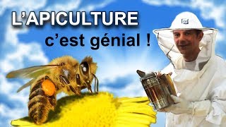 APICULTURE viste des ruches de Raoul lapiculteur [upl. by Elleined]