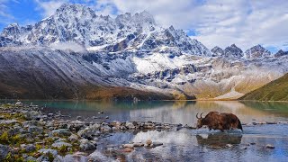 Everest Base Camp amp Gokyo Lakes Trek Nepal  Best Deals  Best Operators  Best Time  Reccy [upl. by Aynot378]