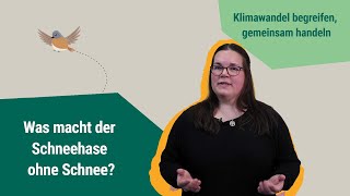 Was macht der Schneehase ohne Schnee  Klimawandel begreifen gemeinsam handeln  BNEFortbildung [upl. by Caralie]