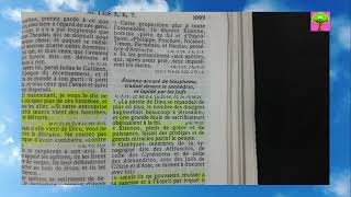 Pleins dEspritSaint et De Sagesse  Actes Chapitre 6  Apprendre Le Français  Lire La Bible [upl. by Yrolam599]