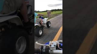 Yfz 450 vs banshee [upl. by Donaldson]