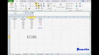 Excel Grundlagen Benutzerdefinierte Formatierung von Zahlen [upl. by Danielle732]