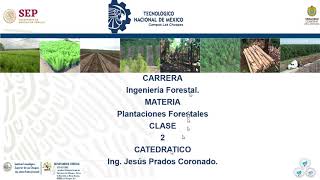 Clase 2 Plantaciones Forestales [upl. by Dhaf858]