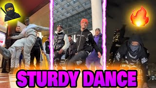 Sturdy Dance V12 🔥💯🌍  TikTok Compilation [upl. by Leid]