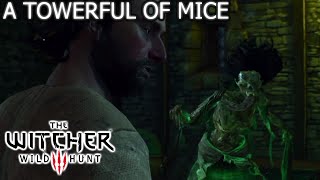 The Witcher 3 Wild Hunt  A Towerful of Mice  Fyke Isle Curse  full story [upl. by Ellerahc580]