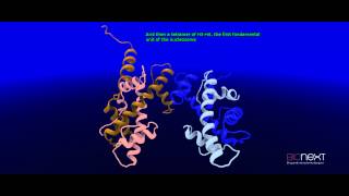 Structural Annotation of a Nucleosome [upl. by Siramaj]