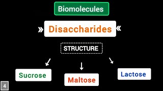 What are Disaccharides structure of sucrose maltose lactose  Biomolecules  simplified [upl. by Notyad]