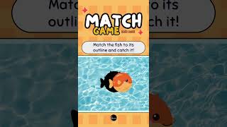 Match the ANIMAL Quiz  Match Game  Catch the Fish  Match the Animal  Match and Guess Game [upl. by Aikcin]