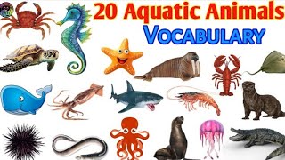 20 Sea Animal  Water Animals  Water Animals Name  Creation For Kids [upl. by Anesusa231]