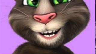 Cele Mai Bune BANCURI Cu ARDELENI Spuse De Talking TOM [upl. by Rubens]