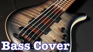 Howzat  Sherbet bass cover [upl. by Adahs]