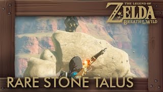 Zelda Breath of the Wild  All Rare Stone Talus Locations [upl. by Toffic]