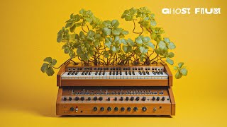 Quiet Honey Relaxing Organic Soundscapes EXPERIMENTAL AMBIENT MUSIC 1 Hour [upl. by Aremahs]