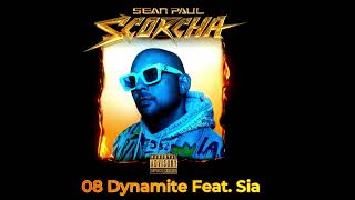 08 Sean Paul  Dynamite Feat Sia [upl. by Berners717]