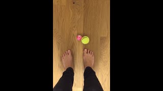 Fußmassage mit dem Tennisball Faszienmassage [upl. by Eatnuahs]