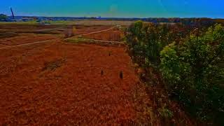 More Autumn colors around some trails and a pond shorts fyp fpv gopro cinematic autumn [upl. by Yro]