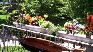 How To Hang Planters on Balcony Patio Railings [upl. by Saw]