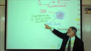 ANATOMY VISCERAL SMOOTH MUSCLE amp CARDIAC MUSCLE HISTOLOGY by Professor Fink [upl. by Debarath]