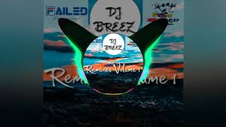 ICE  ACDMND DJ Breez MashupSegueRmx [upl. by Ekralc]