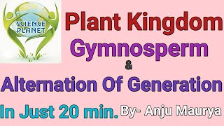 Plant Kingdom Gymnosperm Alternation of Generation By Anju Maurya [upl. by Cheslie405]