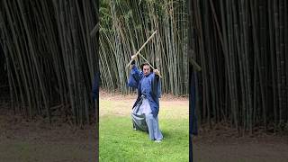 Samurai Nito Ryu Niten Ichi Ryu samurai martialarts japanesemartialarts shorts shortvideo [upl. by Ethbun668]