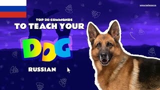 Teach Your Dog Commands In Russian 20 Common Words [upl. by Anillek]