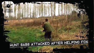 Sabs attacked after helping foxes [upl. by Slerahc]