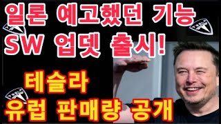 일론 머스크 예고했던 기능 출시  Tesla SW 업데이트   테슬라 유럽 판매량 공개  테슬라 투자 [upl. by Haynes]