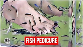 Fish Pedicure [upl. by Key]