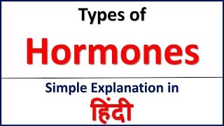 Types of Hormones  Endocrine System in Hindi  Bhushan Science [upl. by Haiacim]