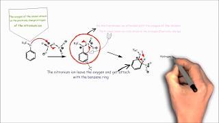 Nitration of Anisole  Nitration Mechanism Nitration of Methoxy Benzene  Whiteboard Animation Easy [upl. by Yeruoc]