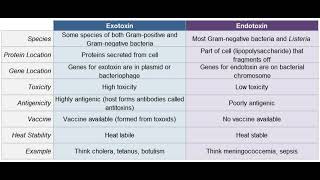 Endotoxins and Exotoxins  bacteria  noorpharmacylectures8513 [upl. by Iow]